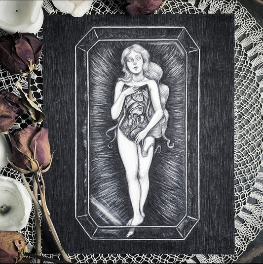 Anatomical Venus - Fine Art Print